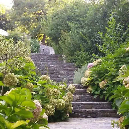 Aroma Piliou - άρωμα πηλίου Pensiune Mourésion