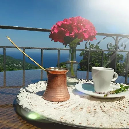 Aroma Piliou - άρωμα πηλίου Mourésion