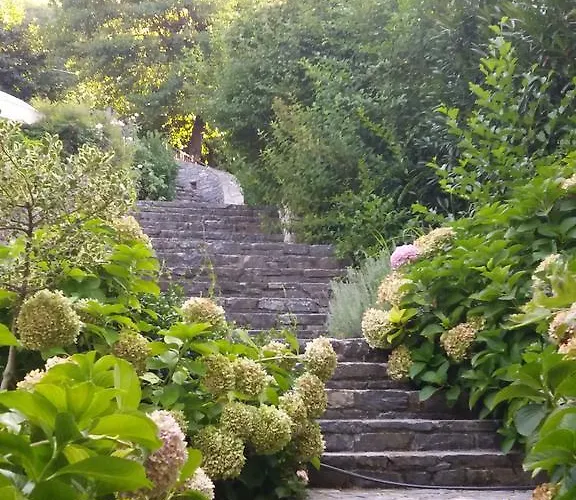 Aroma Piliou - άρωμα πηλίου بيت ضيافة Mourésion