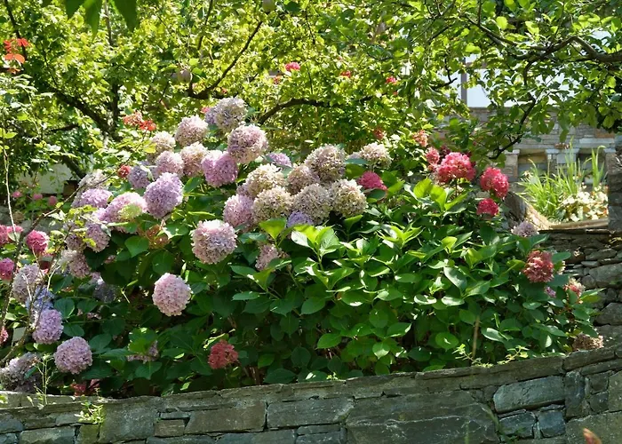 بيت ضيافة Aroma Piliou - άρωμα πηλίου